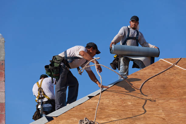 Best Roof Gutter Cleaning  in Glenshaw, PA